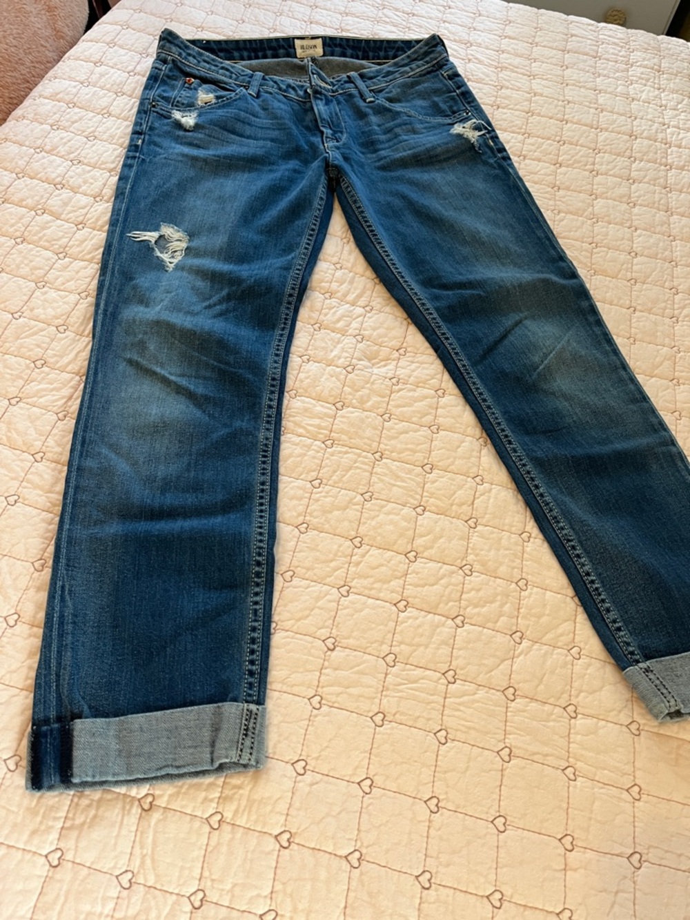 Hudson Bacara Crop cuffed Jean